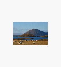 Lake Myvatn Iceland Art Board
