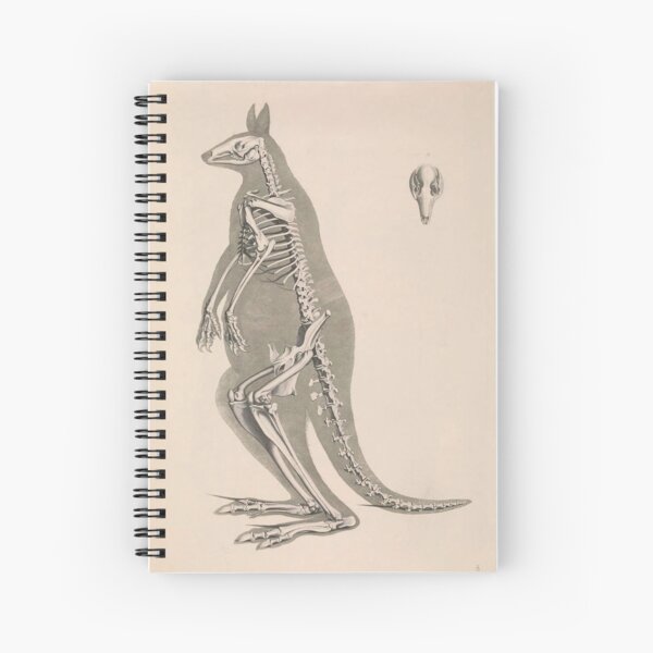 Item preview, Kangaroo Skeleton designed and sold by weirdarthistory.