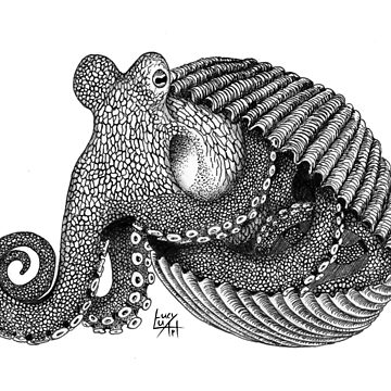 Artwork thumbnail, Octopus in a shell by lucyluart