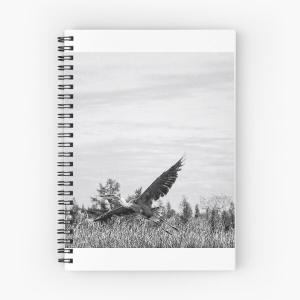 Item preview, Garza en vuelo designed and sold by Diane  Marie Kramer.