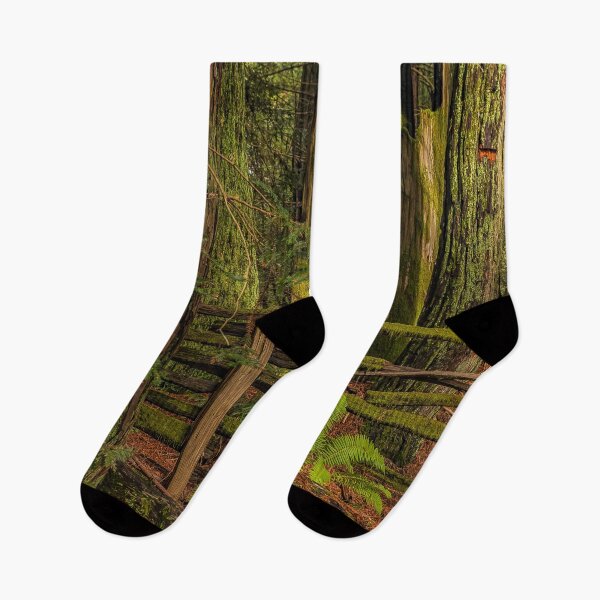 Item preview, Mossy sequoia in California Redwoods Travel Photo Print designed and sold by SvetlanaSF.