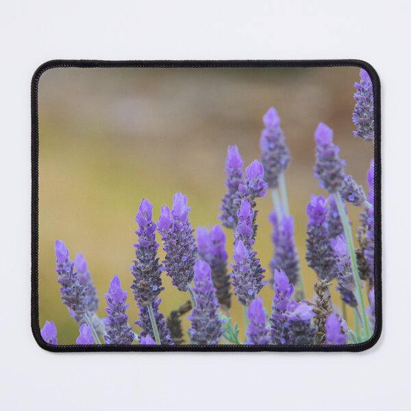 Item preview, Lavender designed and sold by ppddesigns.