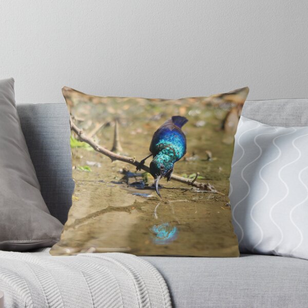 Item preview, White Belly Sunbird - Beautiful Blue  designed and sold by LivingWild.