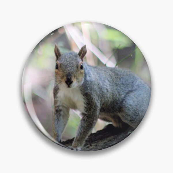 Item preview, GREY SQUIRREL designed and sold by BOLLA67.