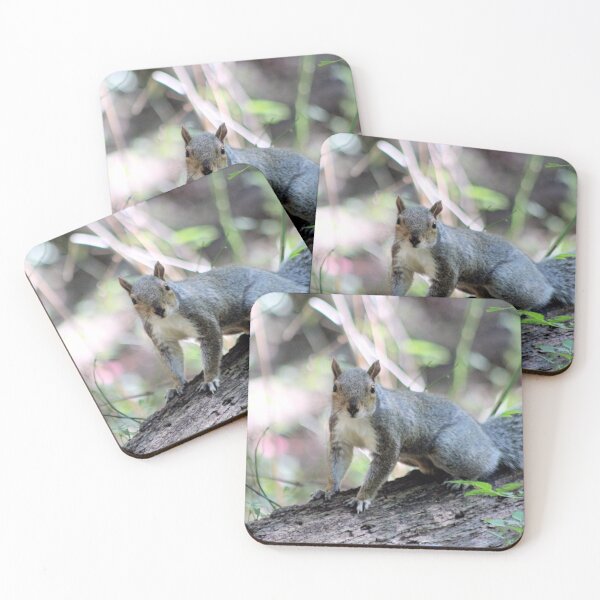 Item preview, GREY SQUIRREL designed and sold by BOLLA67.