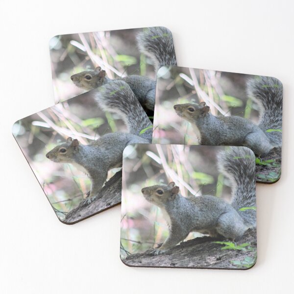 Item preview, POSER designed and sold by BOLLA67.