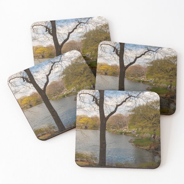 Item preview, Serenity at Central Park designed and sold by PeterOliver787.