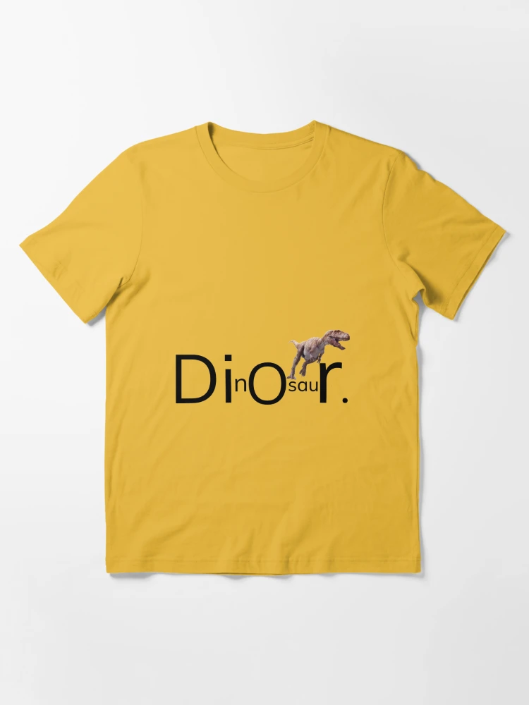 Dior dinosaur T shirt