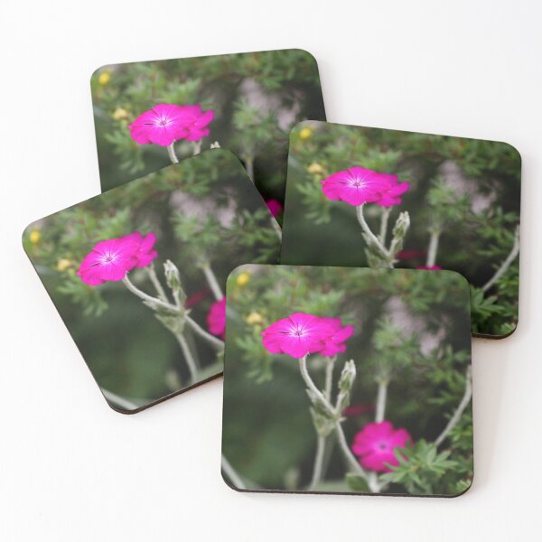 Item preview, little pink designed and sold by laura-S.