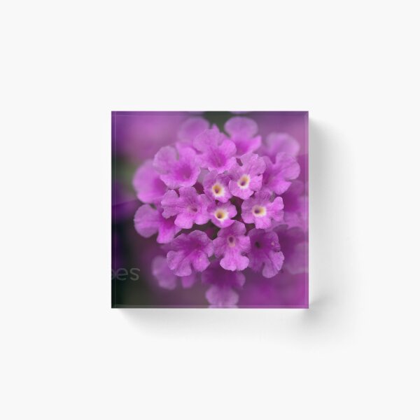 Item preview, Abundance designed and sold by Aires Photography.