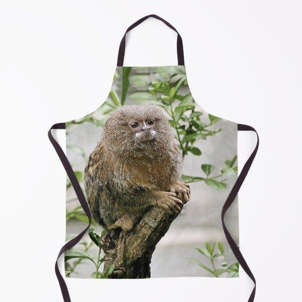 Item preview, r971 / New Finition 2021 " Petit Singe " Ouistiti Pygmée "(h) Olavia-Olao Okaio Créations designed and sold by o.okaïo.