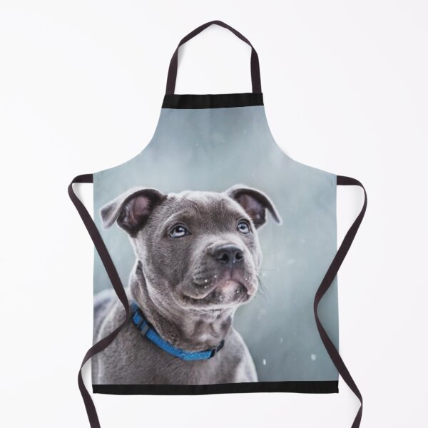 Artikelvorschau, Blauer Staffordshire Bullterrier Welpe entworfen und verkauft von CricciethPrint.