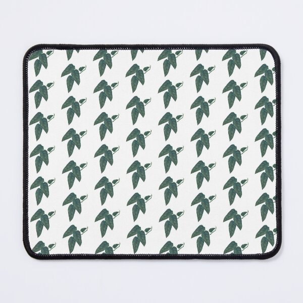 Item preview, Pothos Cebu Blue Leaf designed and sold by Khotekmei.