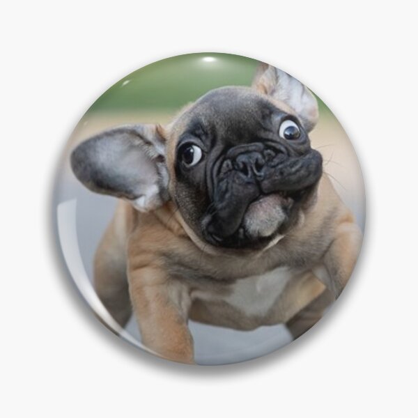 Item preview, ZOOMIES !!!!! IT'S A FRENCHIE THING designed and sold by CricciethPrint.