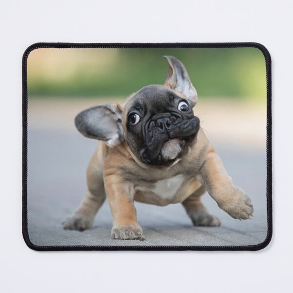 Item preview, ZOOMIES !!!!! IT'S A FRENCHIE THING designed and sold by CricciethPrint.