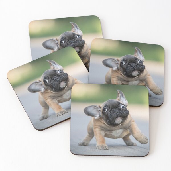Item preview, ZOOMIES !!!!! IT'S A FRENCHIE THING designed and sold by CricciethPrint.