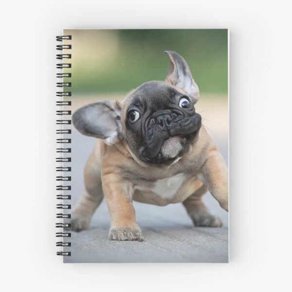 Item preview, ZOOMIES !!!!! IT'S A FRENCHIE THING designed and sold by CricciethPrint.