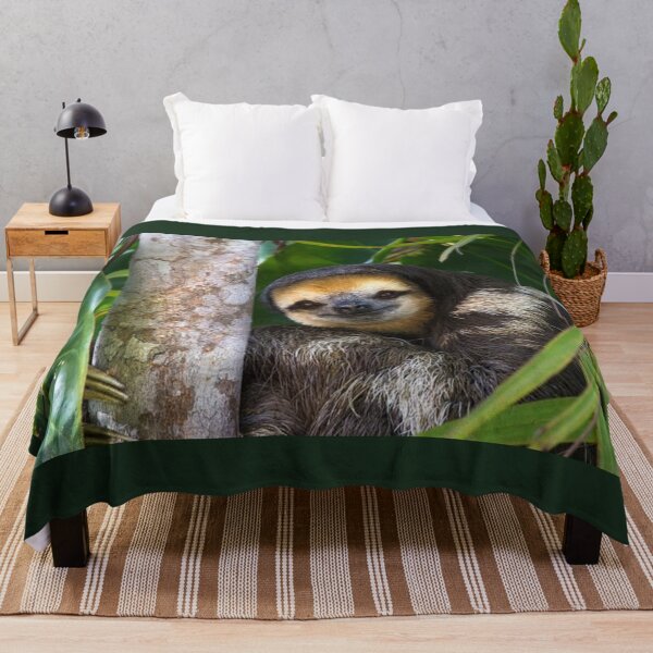 Item preview, SLOTH  designed and sold by CricciethPrint.