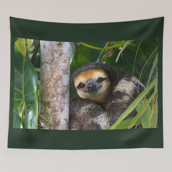 Item preview, SLOTH  designed and sold by CricciethPrint.