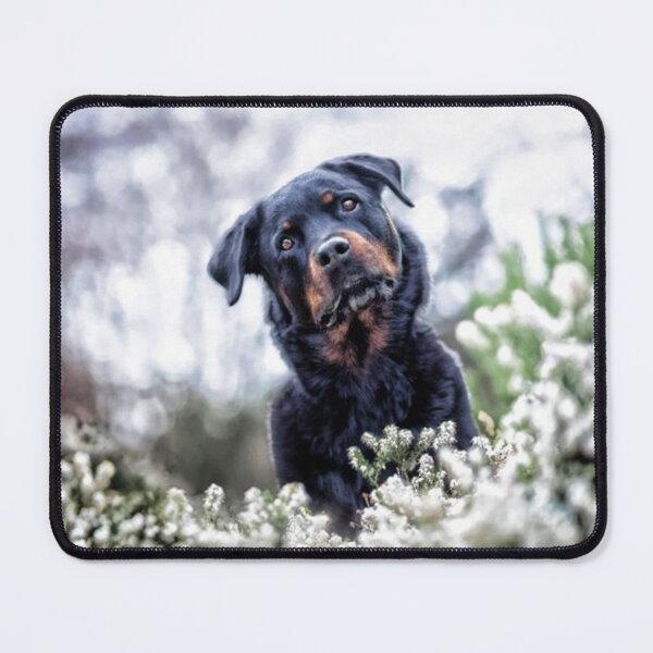 Item preview, ROTTWEILER TILTING HEAD designed and sold by CricciethPrint.