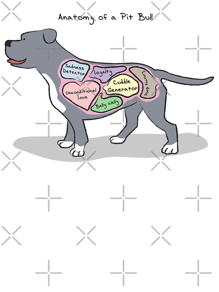 Dog The Anatomy Of A Pit Bull Shirt