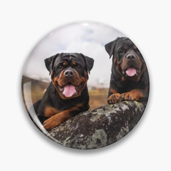 Item preview, ROTTWEILERS DOUBLE TROUBLE designed and sold by CricciethPrint.