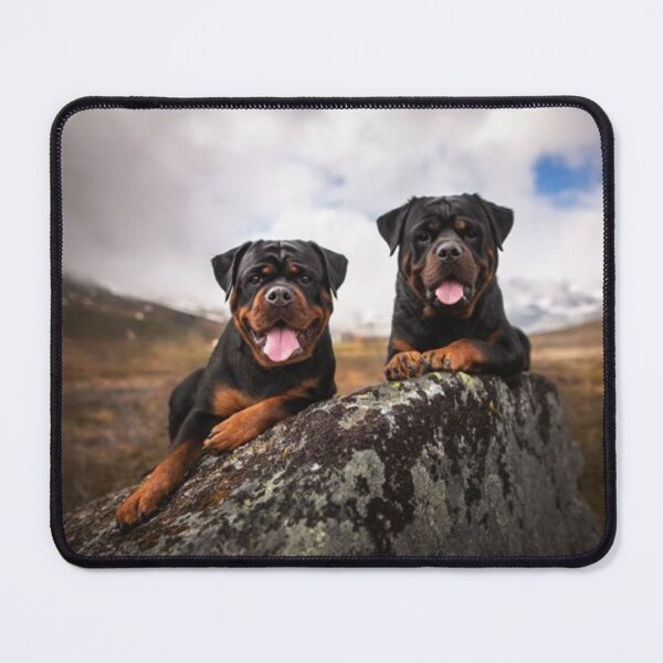 Item preview, ROTTWEILERS DOUBLE TROUBLE designed and sold by CricciethPrint.