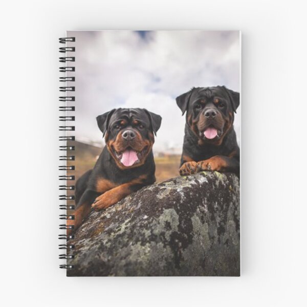 Item preview, ROTTWEILERS DOUBLE TROUBLE designed and sold by CricciethPrint.