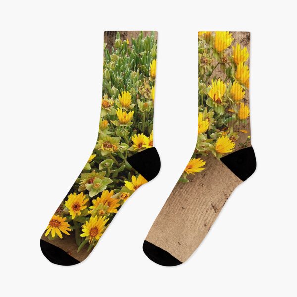 Artikelvorschau, Blumen am Strand entworfen und verkauft von Beatella.