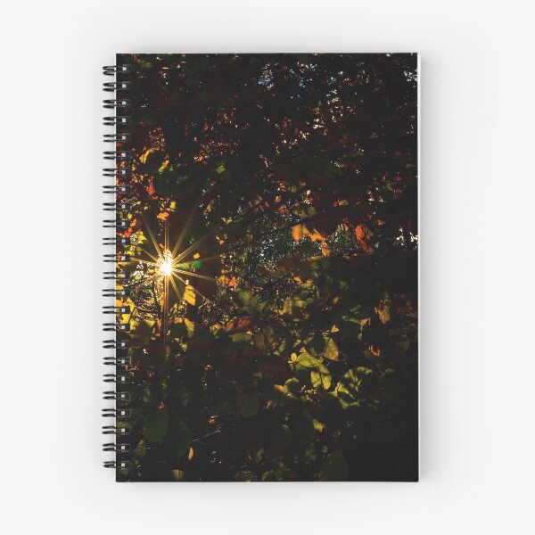 Item preview, Autumn Starburst designed and sold by matthiggo.
