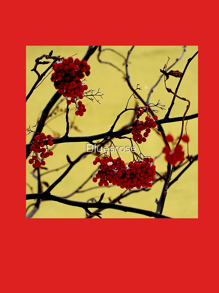 Red berries by Bluesrose