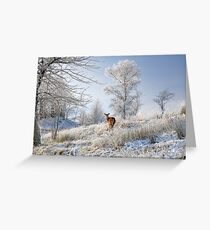 Glen Shiel Misty Winter Deer Greeting Card