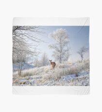Glen Shiel Misty Winter Deer Scarf