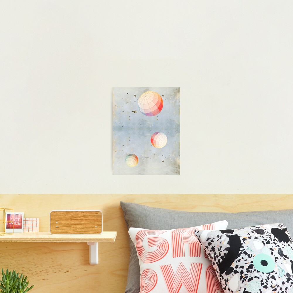 Looking skyward Photographic Print
