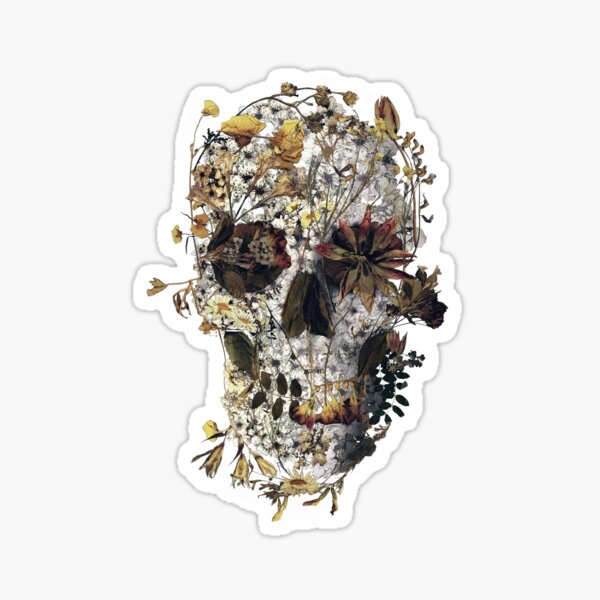 Illustration Floral Skull