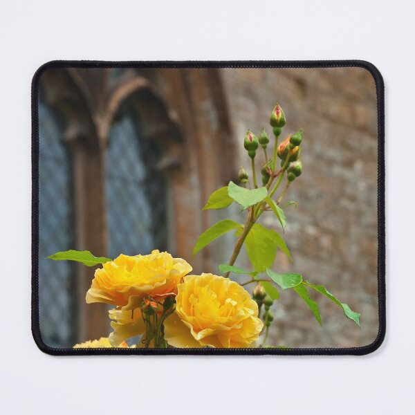 Item preview, Roses on Bibury Garden, England designed and sold by Erwin G. Kotzab.