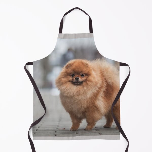 Artikelvorschau, POMERANIAN entworfen und verkauft von CricciethPrint.