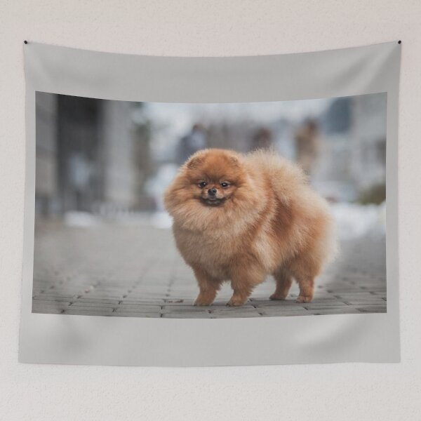 Artikelvorschau, POMERANIAN entworfen und verkauft von CricciethPrint.