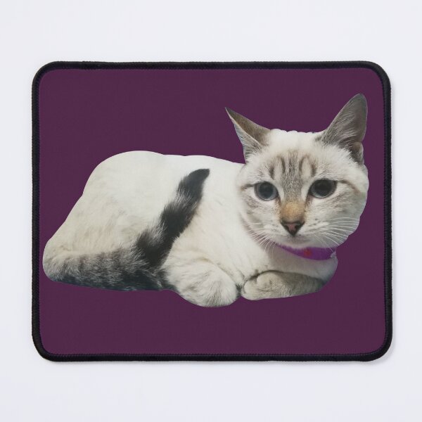 Item preview, My Funny Cat designed and sold by ELBERSAID.
