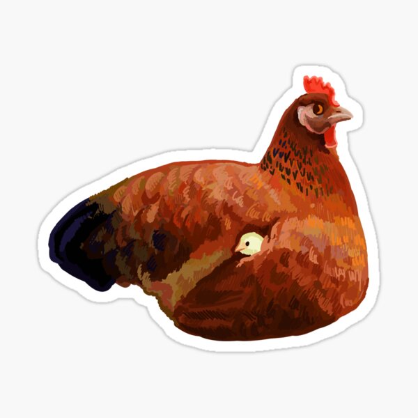 hen and chick Sticker