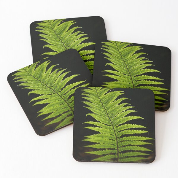 Item preview,  Isolated Luminous Fern designed and sold by SimonJohnson1.