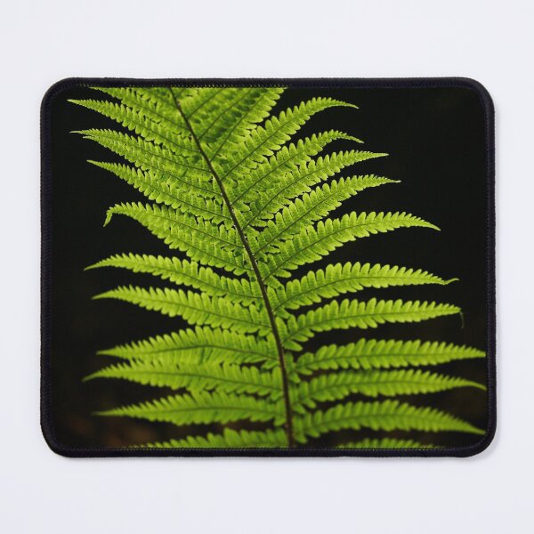 Item preview, Isolated Luminous Fern designed and sold by SimonJohnson1.