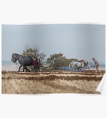 Heavy Horses Poster