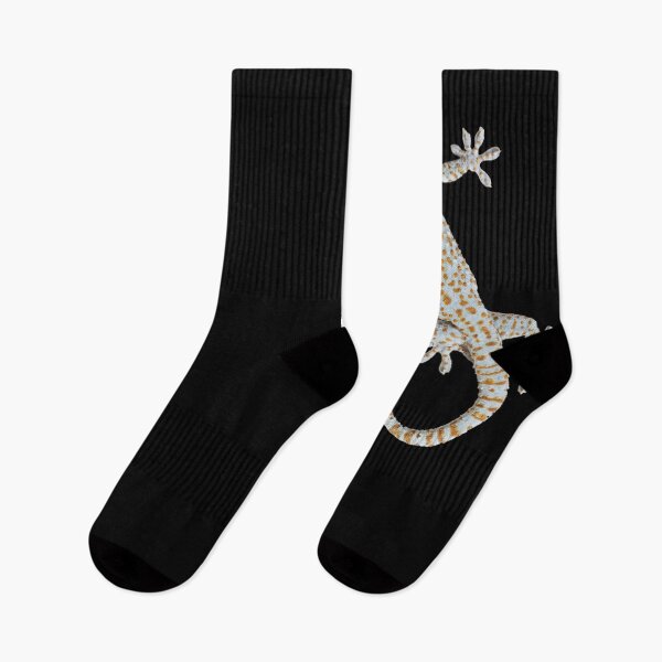 Item preview, Giant gecko. Funny gecko. Climbing. Photo, photograph designed and sold by JellyBeenzz.