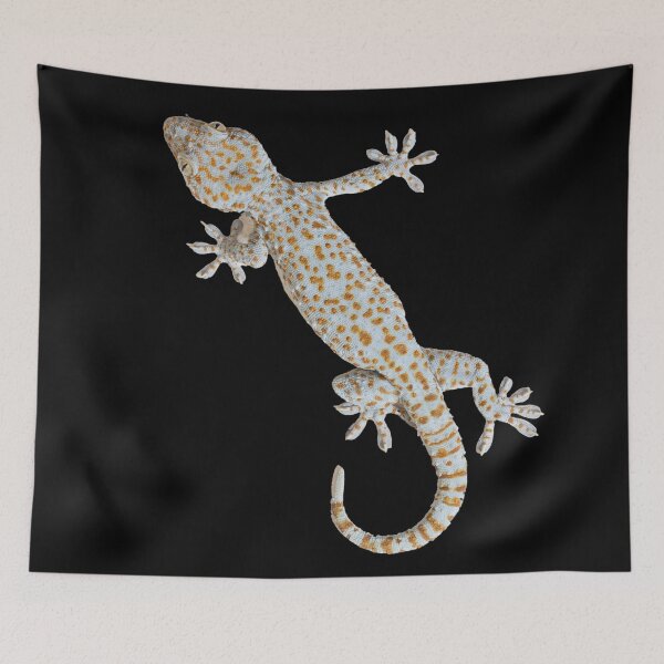 Item preview, Giant gecko. Funny gecko. Climbing. Photo, photograph designed and sold by JellyBeenzz.