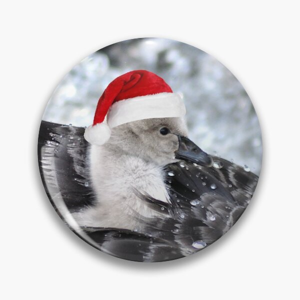 Item preview, Black  Swan cygnet ready for Christmas designed and sold by rosiephotos.
