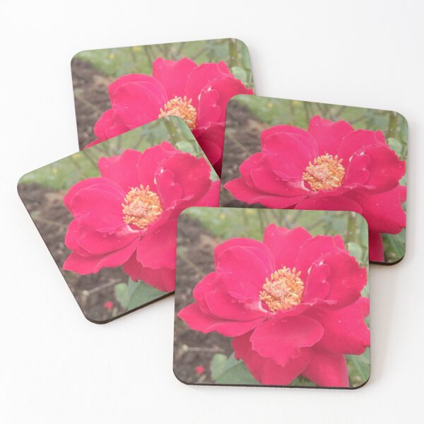 Item preview,  Red rose  designed and sold by Paint84.