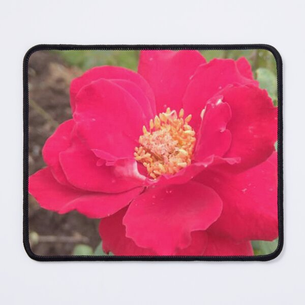 Item preview, Red rose designed and sold by Paint84.