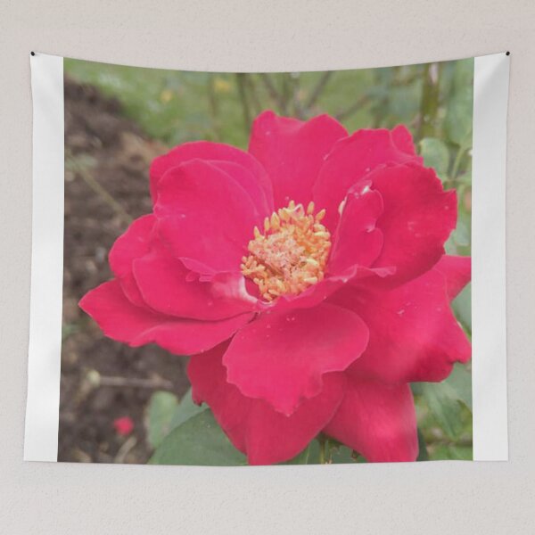 Item preview,  Red rose  designed and sold by Paint84.
