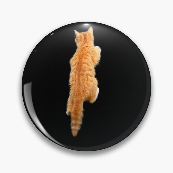 Item preview, Climbing Ginger Cat. Funny, cute cat. Photo, photograph designed and sold by JellyBeenzz.